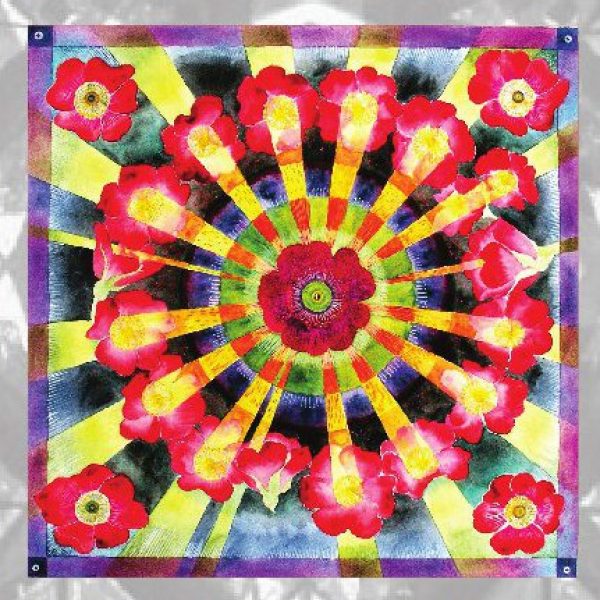 The Remora: an interpretation of Sleeping Beauty