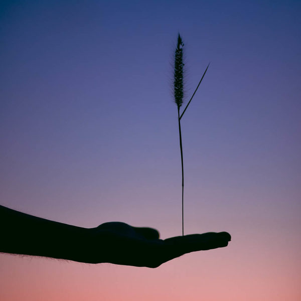 Autumn Conference 2021: Metamorphosis of Being – Body and Soul