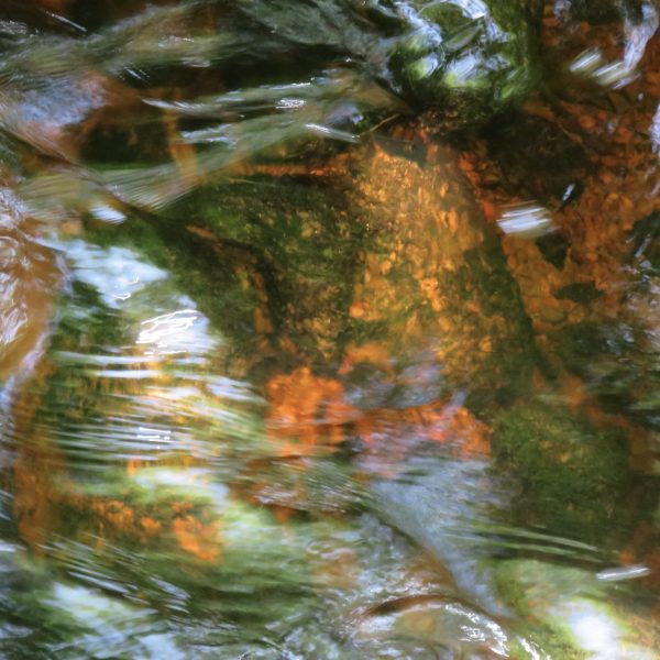 Enchantment – Wonder in Modern Life