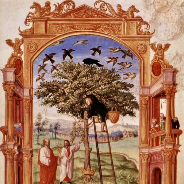 Gaia and the Tree of Life