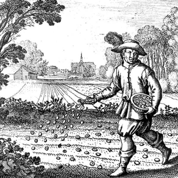 Harvest: The Psyche’s Time of Fulfilment